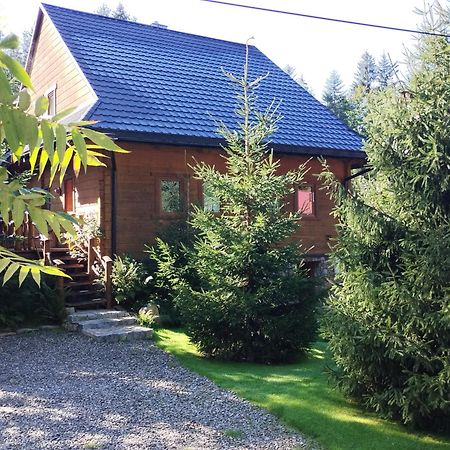 Apartament Nad Potokiem Висла Экстерьер фото