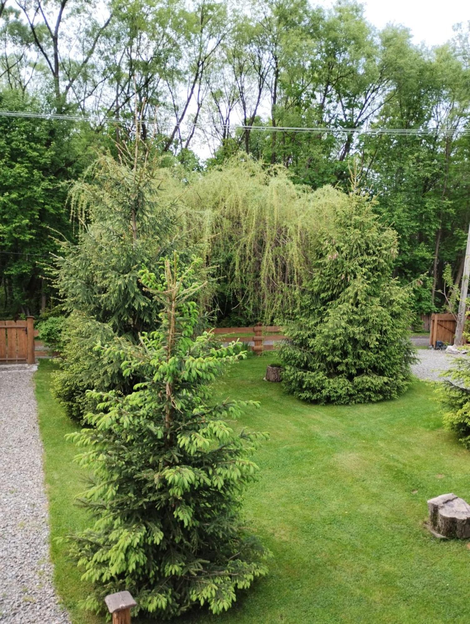 Apartament Nad Potokiem Висла Экстерьер фото
